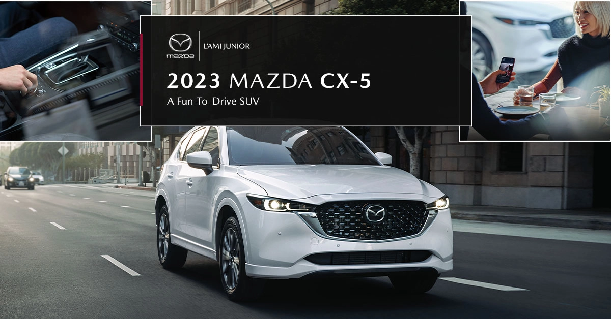 646132be1701e954660302