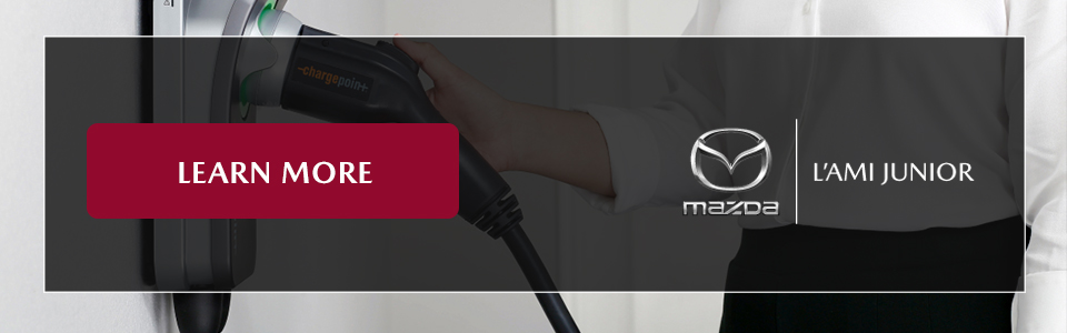 AJM GuideElectrique 04 CTA EN
