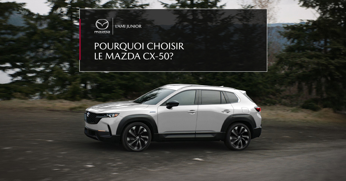 AJM Pourquoi CX50 11 B FR